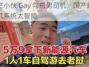 国产小伙 Gay 勾搭男司机，国产新车车机系统太智能