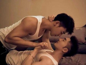 WWWGayChinese_WWWGayChinese网站的内容是否符合道德规范？