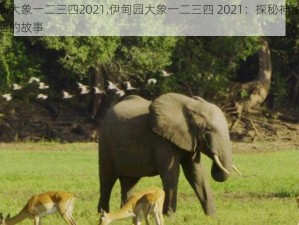 伊甸园大象一二三四2021,伊甸园大象一二三四 2021：探秘神秘的数字背后的故事