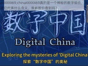 chinaXXXXX69;chinaXXXXX69真的是一个神秘的数字组合，我猜你想知道它代表什么含义，我能帮你查到吗？