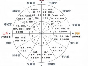 格斗猎人星盘系统深度解析：掌握星座搭配与技能释放攻略，玩转星盘拼法秘籍