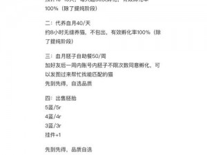 猫之城夜间巡逻护盾流攻略：策略细节与实战玩法详解