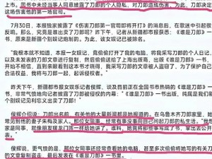 执剑之刻突然停滞，深度探寻事件背后原因及影响分析