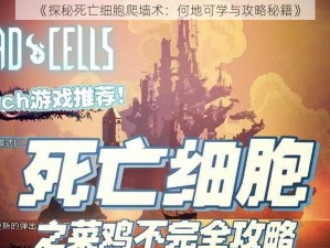 《探秘死亡细胞爬墙术：何地可学与攻略秘籍》