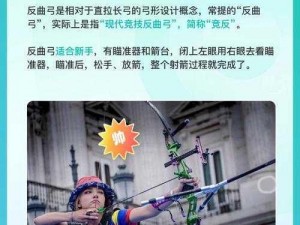 骑士精神2弓箭使用指南：注意事项详解与实战技巧分享