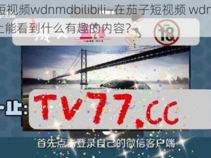 茄子短视频wdnmdbilibili—在茄子短视频 wdnmdbilibili上能看到什么有趣的内容？