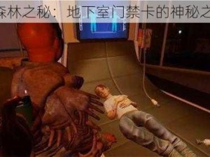 《森林之秘：地下室门禁卡的神秘之旅》