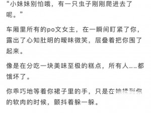 整篇都是车的肉过程文案—整篇都是车的肉过程：激情与欲望的交织