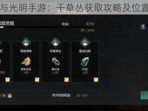 黑暗与光明手游：干草丛获取攻略及位置指南