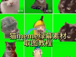 mememe视频完整版在线观看【mememe 视频完整版在线观看】