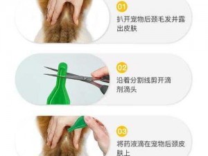 狗狗除蜱实用小妙招：简单高效的家庭除蜱方法指南