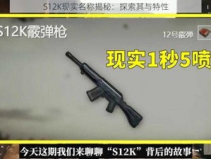 S12K现实名称揭秘：探索其与特性