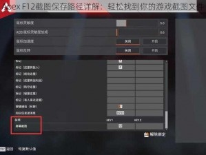 Apex F12截图保存路径详解：轻松找到你的游戏截图文件