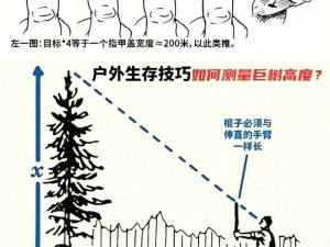 荒野日记：工具技术革新与生存技能进阶之道