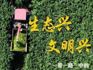 绿色繁荣的种植园：人与自然和谐共生的农业生态新纪元