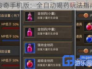 热血传奇手机版：全自动喝药玩法指南解析