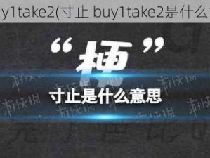 寸止buy1take2(寸止 buy1take2是什么意思？)