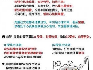 关于光荣使命与肾上脉素：其效用与价值探讨