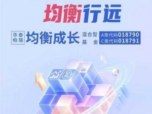 以DISC四维均衡为核心：探索人的全面发展与均衡成长之道