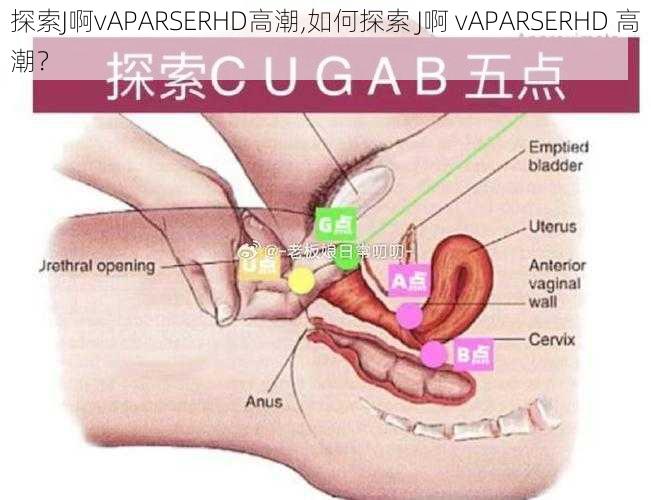 探索J啊vAPARSERHD高潮,如何探索 J啊 vAPARSERHD 高潮？