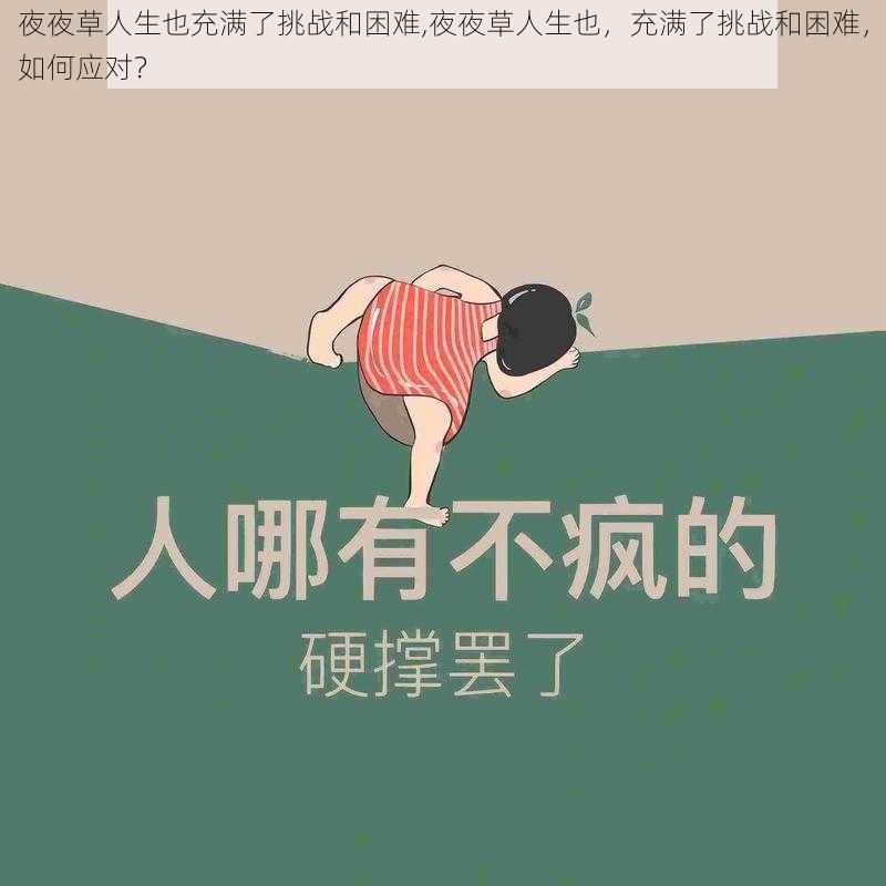 夜夜草人生也充满了挑战和困难,夜夜草人生也，充满了挑战和困难，如何应对？