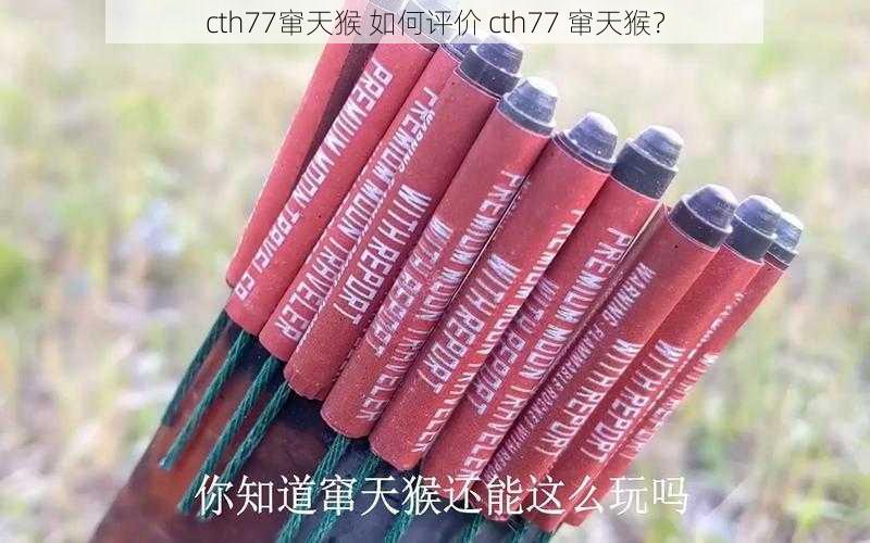 cth77窜天猴 如何评价 cth77 窜天猴？