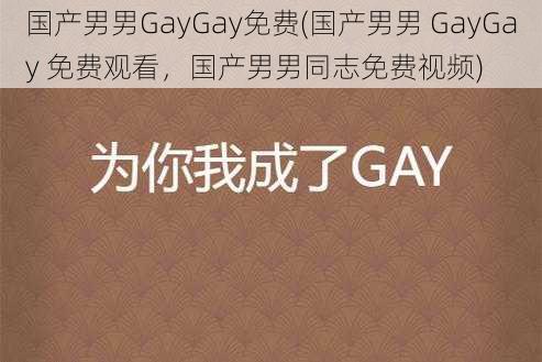 国产男男GayGay免费(国产男男 GayGay 免费观看，国产男男同志免费视频)