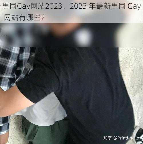 男同Gay网站2023、2023 年最新男同 Gay 网站有哪些？