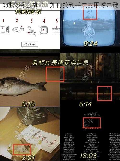 《逃离锈色湖畔：如何找到丢失的眼球之谜》