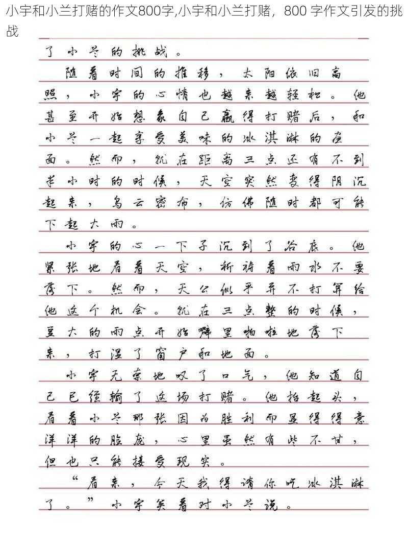 小宇和小兰打赌的作文800字,小宇和小兰打赌，800 字作文引发的挑战