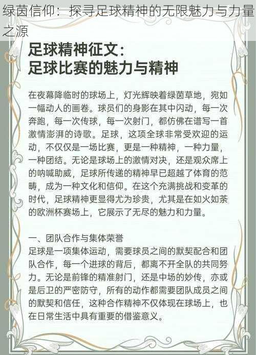 绿茵信仰：探寻足球精神的无限魅力与力量之源