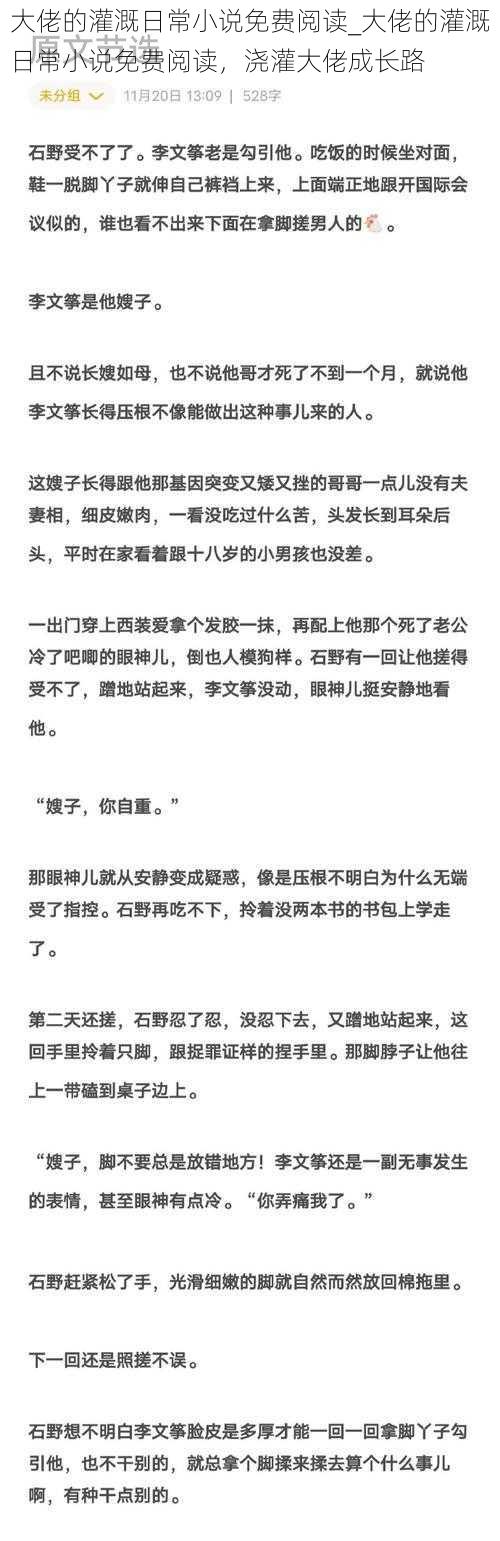 大佬的灌溉日常小说免费阅读_大佬的灌溉日常小说免费阅读，浇灌大佬成长路