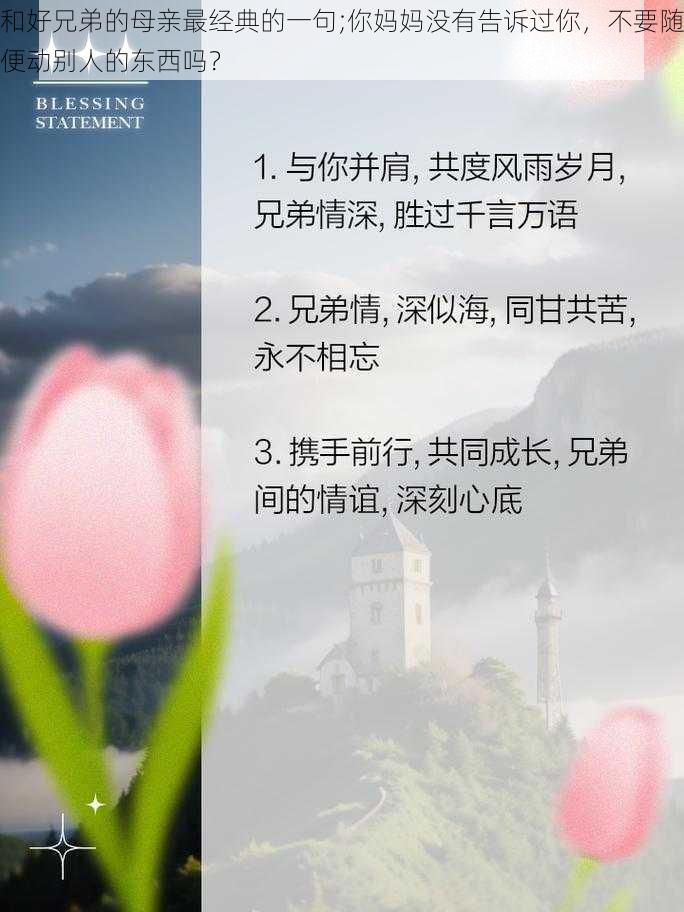 和好兄弟的母亲最经典的一句;你妈妈没有告诉过你，不要随便动别人的东西吗？