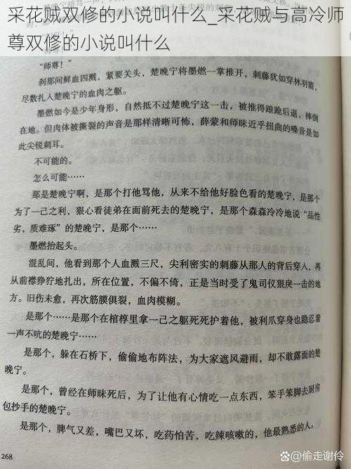 采花贼双修的小说叫什么_采花贼与高冷师尊双修的小说叫什么