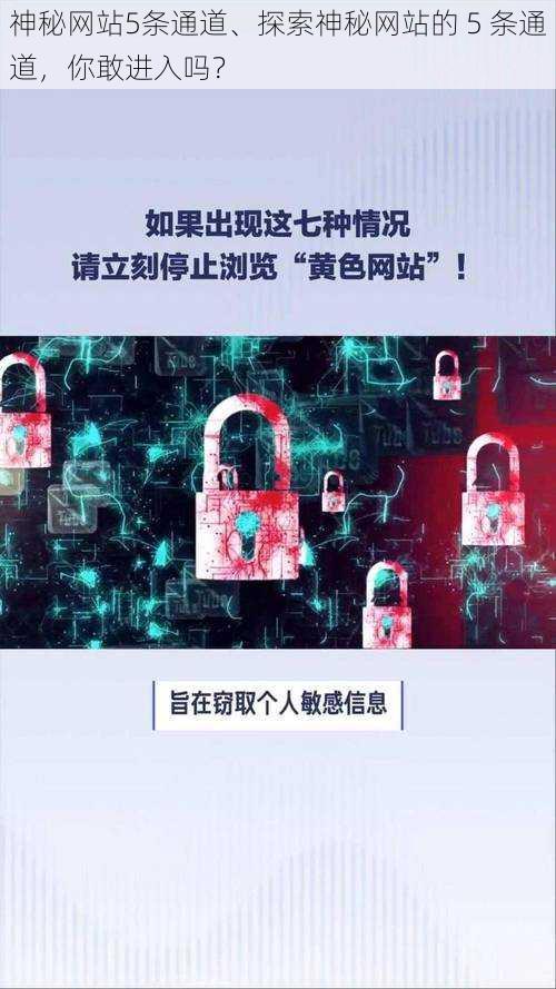 神秘网站5条通道、探索神秘网站的 5 条通道，你敢进入吗？