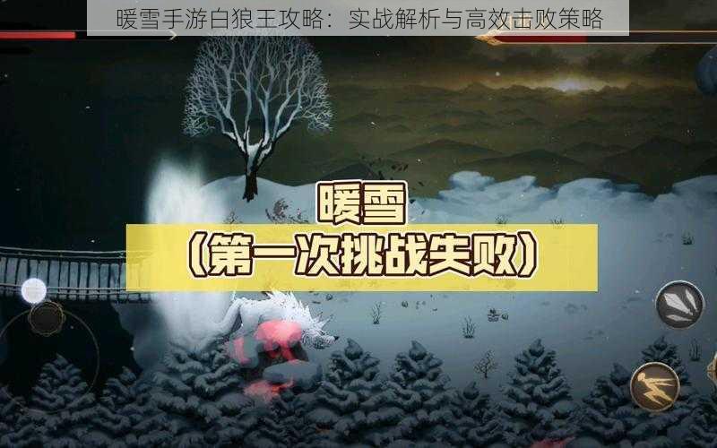 暖雪手游白狼王攻略：实战解析与高效击败策略