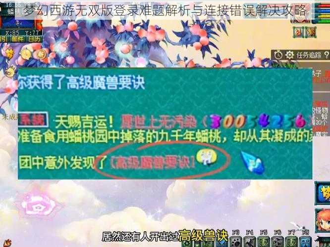 梦幻西游无双版登录难题解析与连接错误解决攻略