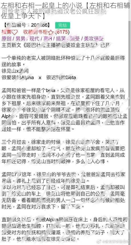 左相和右相一起皇上的小说【左相和右相辅佐皇上争天下】