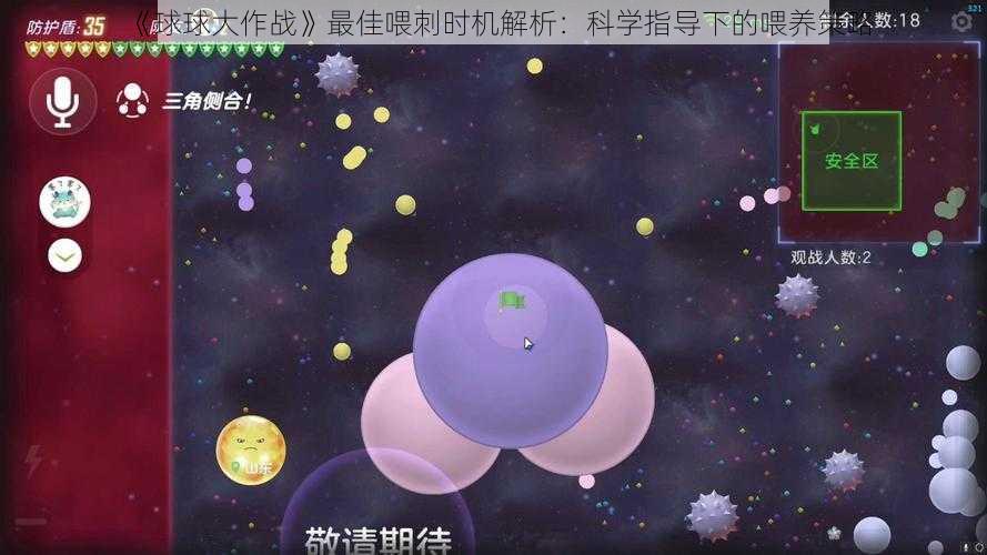 《球球大作战》最佳喂刺时机解析：科学指导下的喂养策略