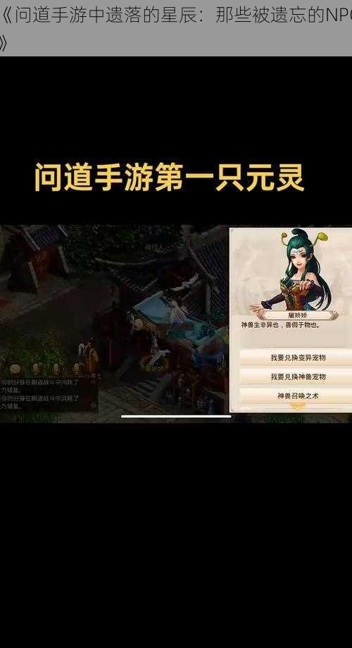 《问道手游中遗落的星辰：那些被遗忘的NPC》