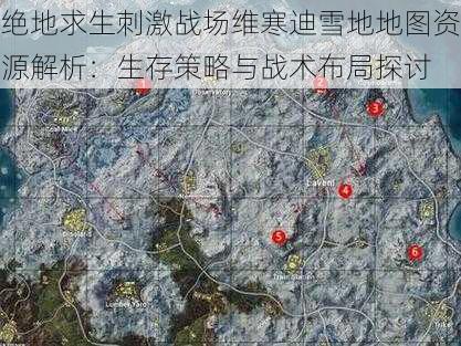 绝地求生刺激战场维寒迪雪地地图资源解析：生存策略与战术布局探讨