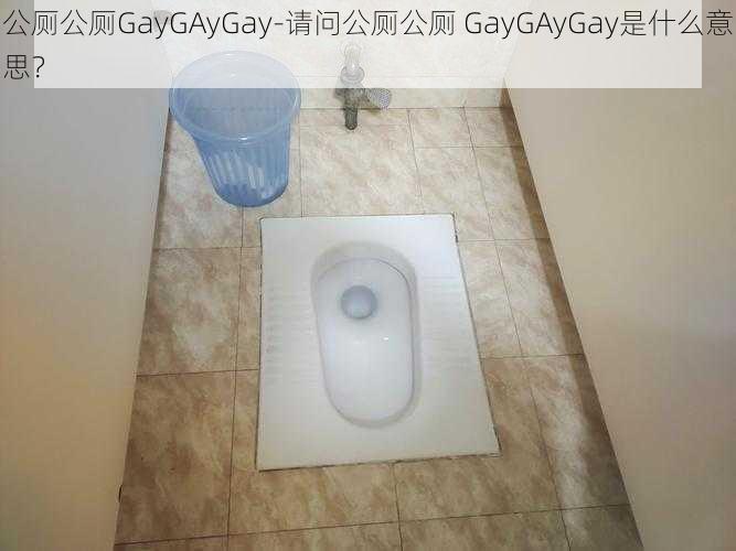 公厕公厕GayGAyGay-请问公厕公厕 GayGAyGay是什么意思？