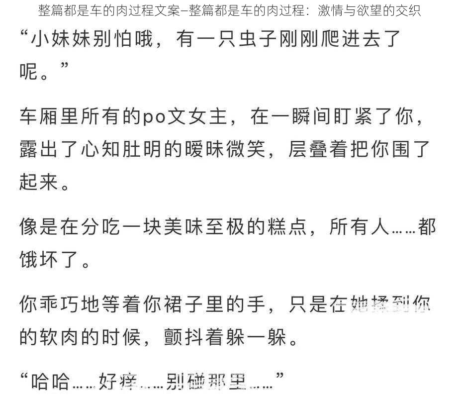 整篇都是车的肉过程文案—整篇都是车的肉过程：激情与欲望的交织