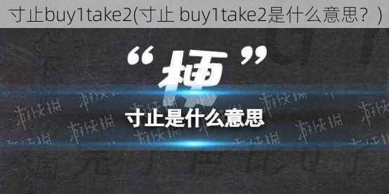 寸止buy1take2(寸止 buy1take2是什么意思？)