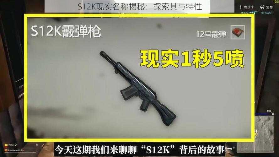 S12K现实名称揭秘：探索其与特性