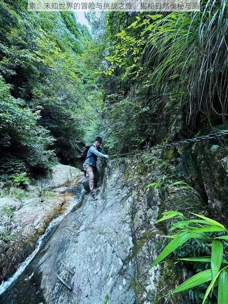 荒野探索：未知世界的冒险与挑战之旅，揭秘自然奥秘与原始风貌