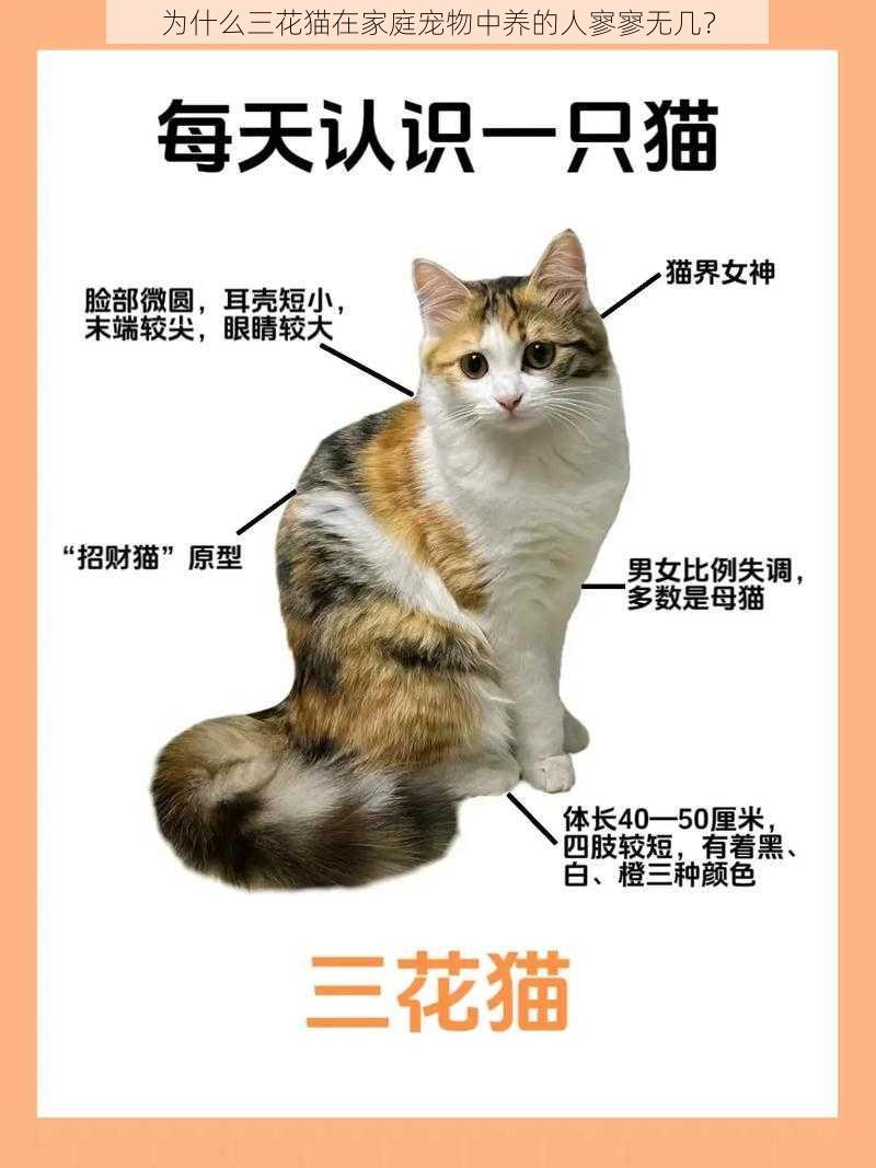 为什么三花猫在家庭宠物中养的人寥寥无几？