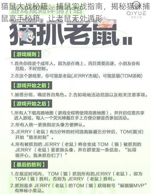 猫鼠大战秘籍：捕鼠实战指南，揭秘猫咪捕鼠高手秘籍，让老鼠无处遁形