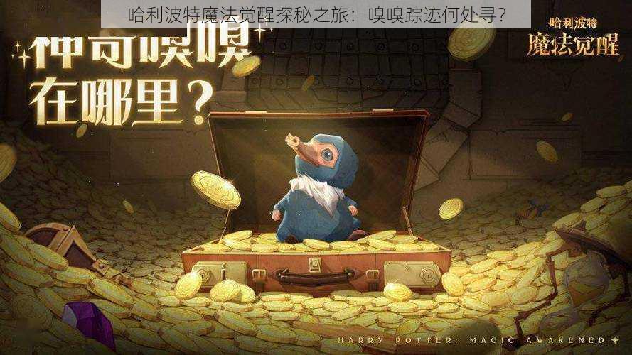 哈利波特魔法觉醒探秘之旅：嗅嗅踪迹何处寻？