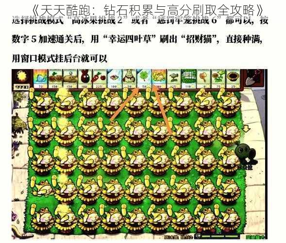 《天天酷跑：钻石积累与高分刷取全攻略》